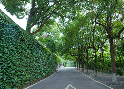 重慶建筑工程職業學院環境 詳細報道