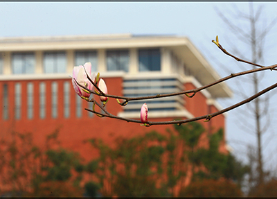 重慶電子技師學院怎么樣