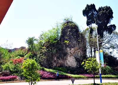 學校風景.jpg