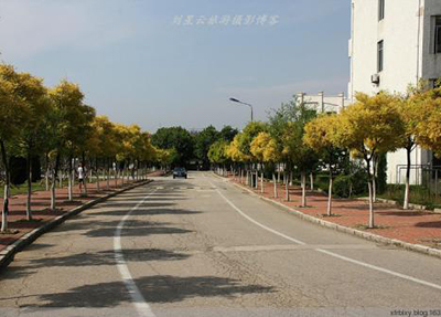 學校風景