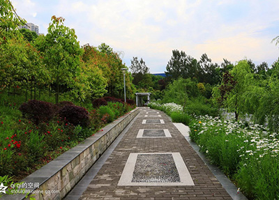 學校風景